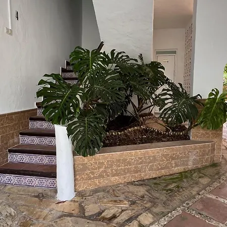 Paradise - Encanto Нерха