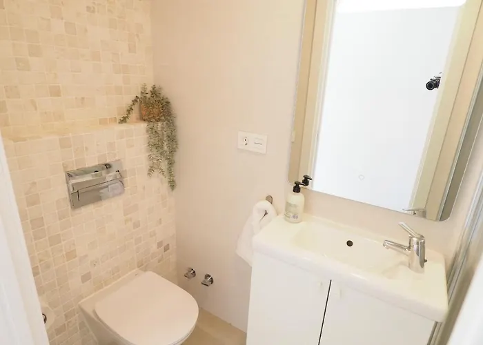 Paradise - Encanto * 네르하